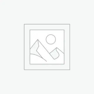 In fringilla felis non nulla porta rutrum